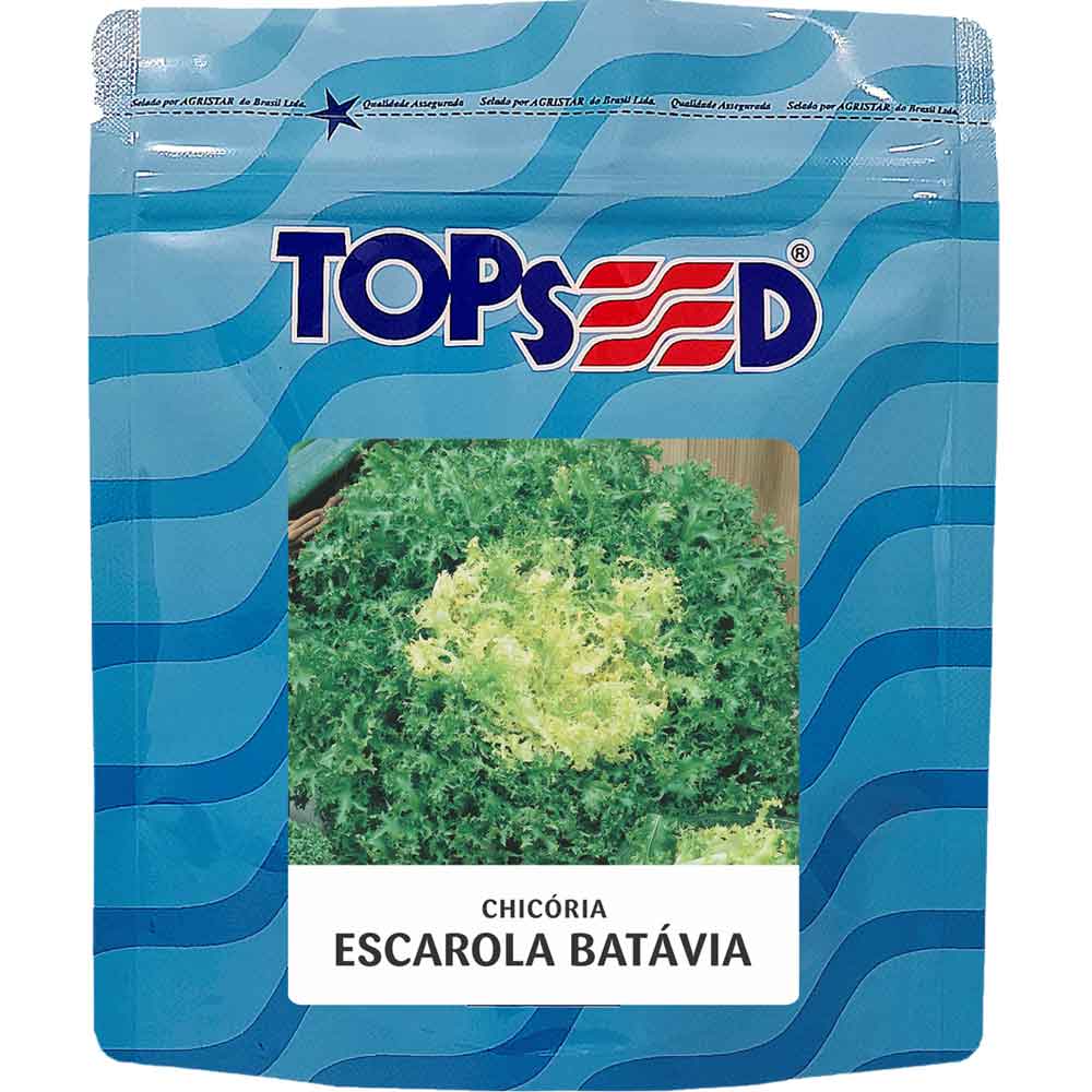 Sementes De Chicória Escarola Lisa Batavia Topseed - 100g