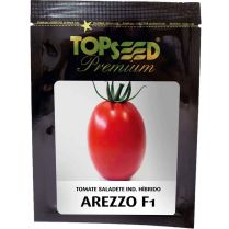 Sementes De Tomate Saladete Ind. Híbrido Arezzo F1 Topseed Premium - 1mx