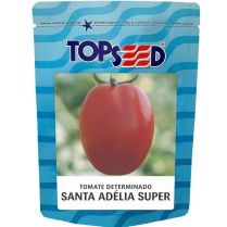 Sementes De Tomate Santa Adelia Super Determinado Topseed - 50g